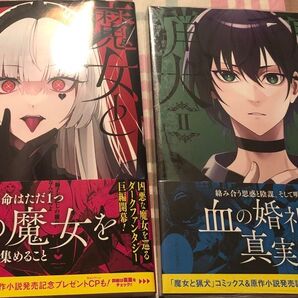 魔女と猟犬◇1、2巻はシュリンク付き新品、カミツキレイニー 、1巻のみ一読、発送遅め(ご了承頂ける方のご購入希望)