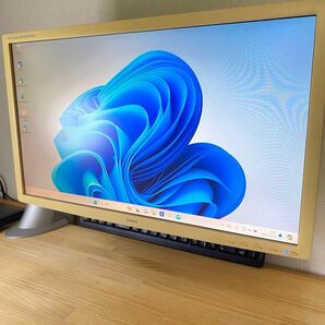 Iiyama PL2409HD モニター23.6インチ+モニターアーム付き