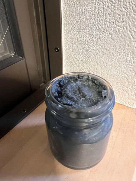 T1 カルナバ 100% グラフェンWAX (検 神風コレクション 天然WAX ながら洗車 NATURE SHINE