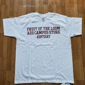FRUIT OF THE LOOM　Tシャツ　UNITED ARROWS　XL