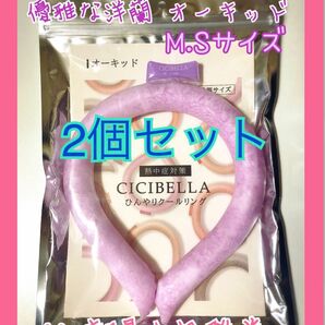 CICIBELLA【オーキッド】 女性、子供サイズ アイスリング M