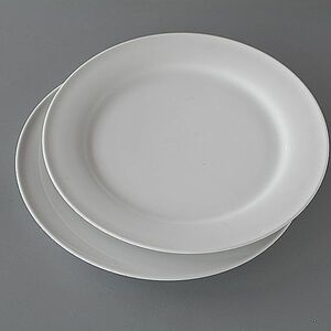 ディナー皿 2枚 真っ白　wps5