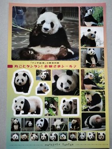 王子動物園 タンタン シールステッカー パンダ