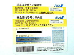 ◆全日空(ANA)株主優待券2枚◆有効期限:2024年11月30日迄有効◆ 送料無料(クリックポスト)
