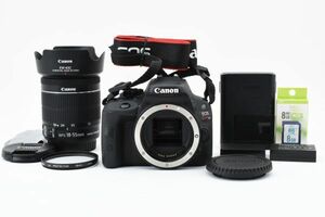 キャノン Canon EOS Kiss X7 EF-S 18-55mm F3.5-5.6 IS STM レンズセット　SDカード付き　バッテリーx2《ショット数14823回》＃2163