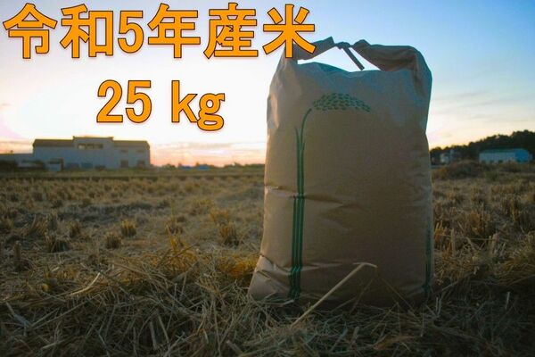 令和5年産　ヒノヒカリ　玄米　25kg