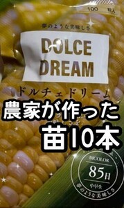 [10шт.@] Dolce Dream сладкий кукуруза кукуруза .... кукуруза bai цвет желтый белый рассада овощи рассада 