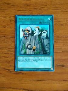 1円スタート 遊☆戯☆王オフィシャルカードゲーム 緊急救急救命レスキュー Yu-Gi-Oh! Trading Card Emerging Emergency Rescute Rescue