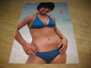 榊原郁恵巨乳ビキニ松本伊代ハイレグ水着井森美幸超ハイレグビキニ水着森尾由美芳本美代子ハイレグ水着石川秀美水着昭和アイドル昭和女優