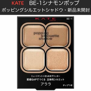 【シナモンポップ】KATE ケイト ポッピングシルエットシャドウBE-1【新品未開封】