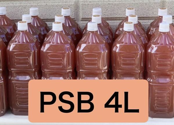 濃厚PSB 光合成細菌 自家培養品　4L
