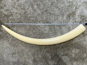 象牙風 一本物 白材芯料 天然素材 牙 マンモス 全長約120cm 重量約10.15㎏オブジェ置物