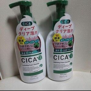 CICA シカ 酵素配合 泡洗顔料 450ml 日本製 プラチナレーベル シカ 洗顔料 パパイン酵素 毛穴 黒ずみ 洗顔フォーム 
