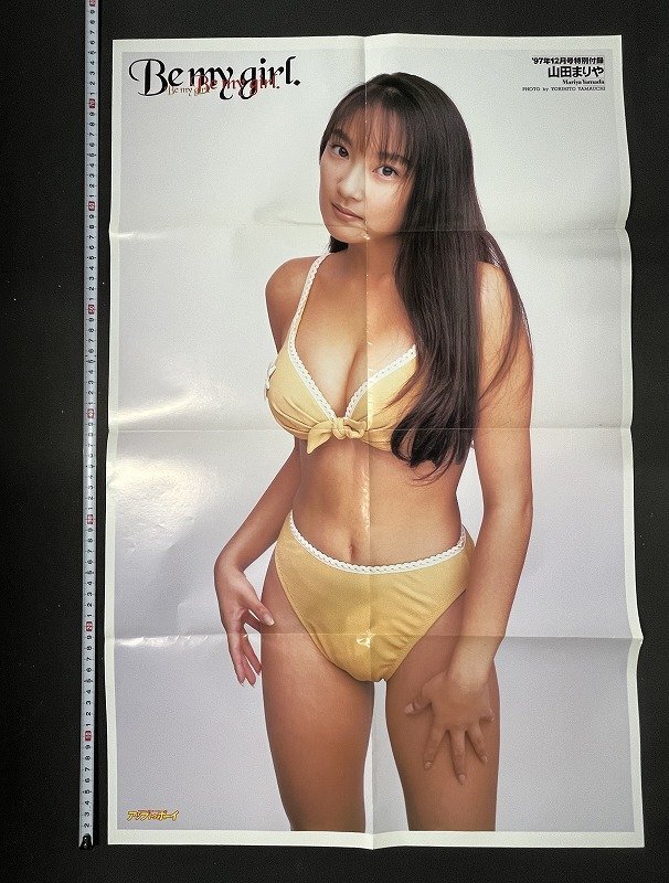 2025年最新】Yahoo!オークション -山田まりやポスターの中古品