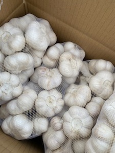  Aomori prefecture dry garlic 5Kg 2L bargain goods 
