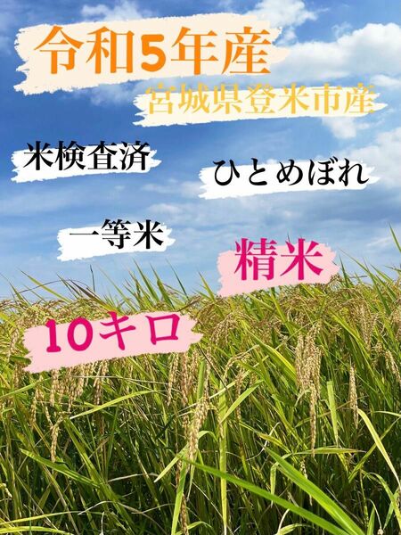 白米　精米　10キロ　令和5年産　一等米　ひとめぼれ　宮城県登米市中田町