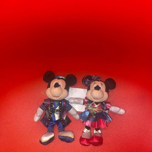 ミッキー ミニー ディズニー ぬいぐるみバッジ おまけ付き