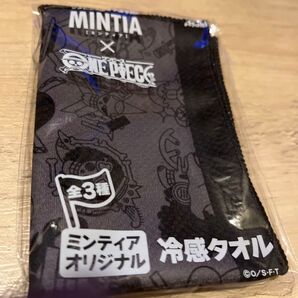ミンティアワンピース冷感タオル
