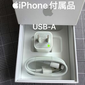 Apple iPhone 充電器 USB電源アダプタ USBケーブル