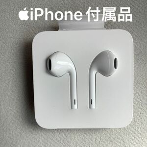Apple iPhone イヤホン ライトニング　アップル純正品