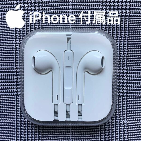 Apple iPhone イヤホン　プラグ EarPods 