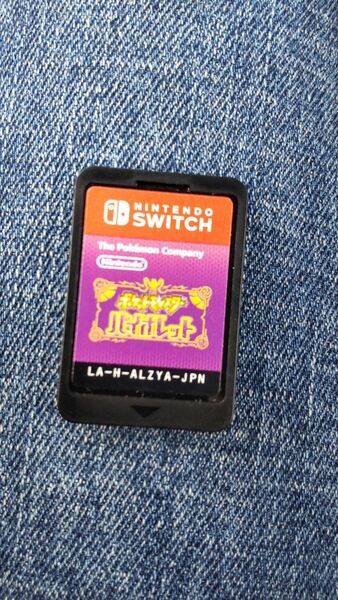 Nintendo Switch ポケットモンスター バイオレット