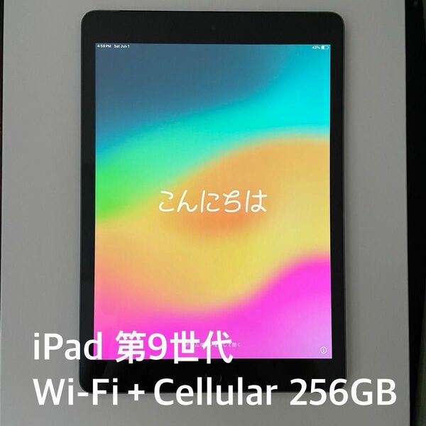 【中古】iPad スペースグレイ Wi-Fi Cellular 256GB Apple購入 SIMフリー