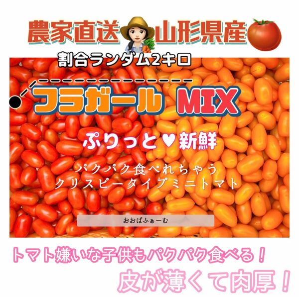 農家直送！山形県産！ぷりっと新鮮フラガールmix2キロ