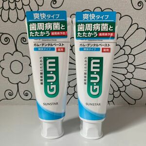 【ガム デンタルペースト 薬用 120g×2本 】 歯磨き粉　ハミガキコ　