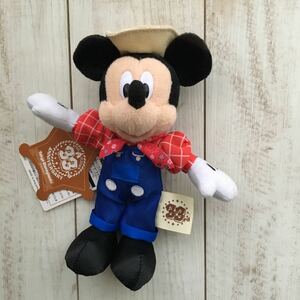 Disney ディズニー 33rd TDR ぬいぐるみバッジ ミッキー