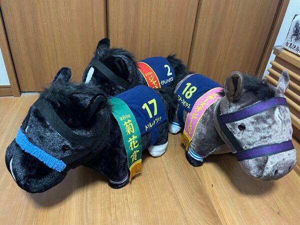 イクイノックス ドゥレッツァ スターズオンアース