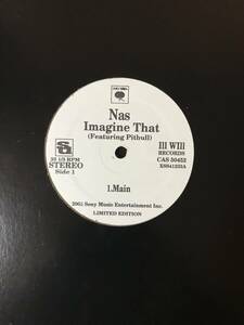 アナログ盤 NAS ナズ Imagine That / Bridging The Gap LP 12インチ レコード HIPHOP R&B ラップ ヒップホップ
