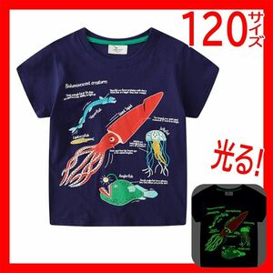 深海魚Tシャツ 120cm 半袖シャツ キッズメンズ チョウチンアンコウ クラゲTシャツ光るイラスト パジャマシャツ 男の子メンズ