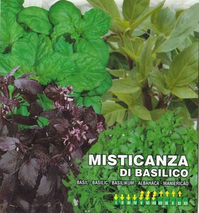 ミックスバジル 種子 100粒 12種類Mix MISTICANZA DI BASILICO 固定種 ハーブ 色々な色やリーフのバジルの12品種 ミックス！