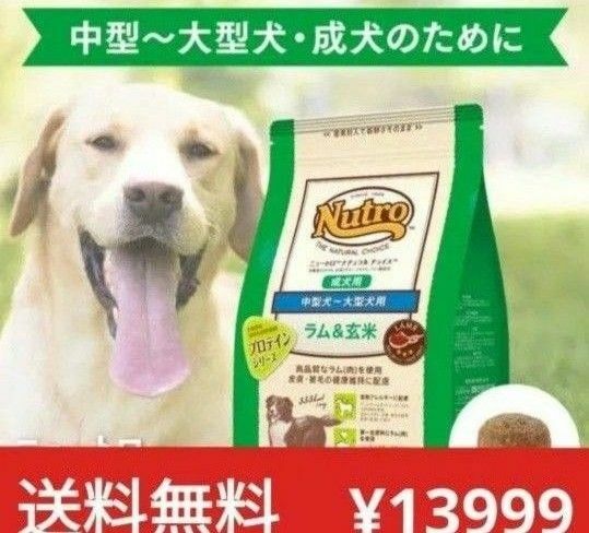 ニュートロナチュラルチョイス ラム＆玄米 中型犬 大型犬 成犬用 17.5kg