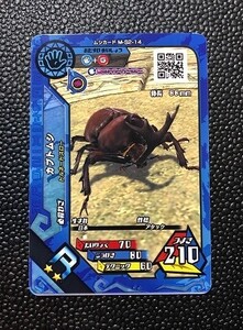 ムシキング Rカブトムシの値段と価格推移は 18件の売買情報を集計したムシキング Rカブトムシの価格や価値の推移データを公開 ムシキング Rカブトムシの値段と価格推移は 18件の売買情報を集計したムシキング Rカブトムシの価格や価値の推移データを公開
