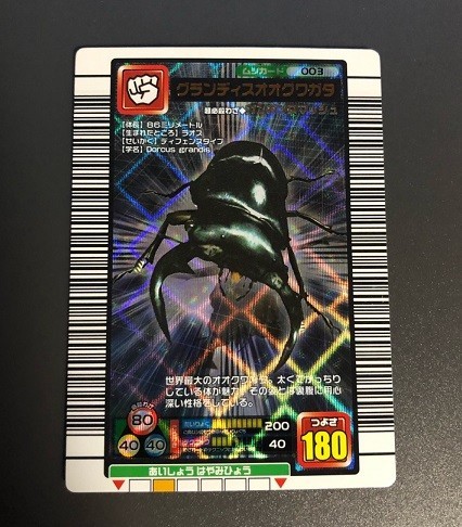 ヤフオク! -「グランディスオオクワガタ」(トレーディングカードゲーム