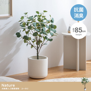 【送料無料】【高さ85cm】Nature 光触媒人工観葉植物 ユーカリ