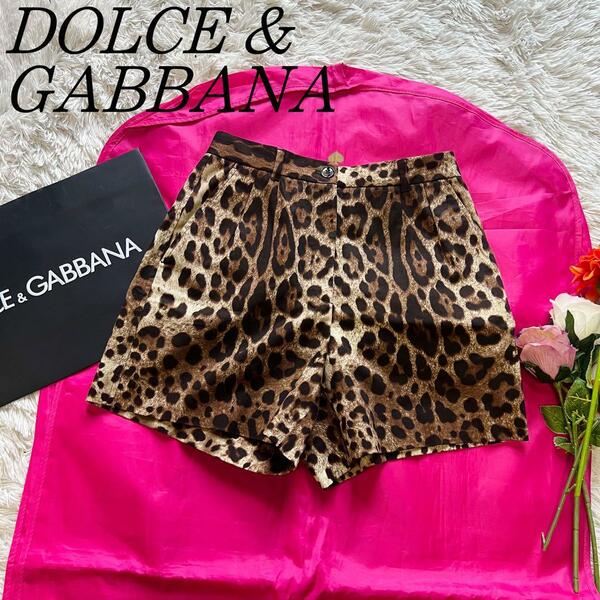 【美品】DOLCE&GABBANA レオパード柄ショートパンツ ブラウン 36 ドルチェ&ガッバーナ S ヒョウ柄