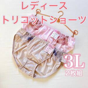 レディーストリコットショーツ【3L】2枚組　光沢　デイリーショーツ