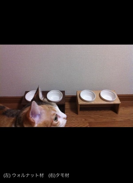 天然木のフードスタンド2口タイプ ペット用食器 餌入れ 猫 小型犬 小動物