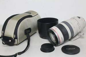 Canon/EF100-400mm F4.5-5.6L IS USM/望遠ズームレンズ ⑥