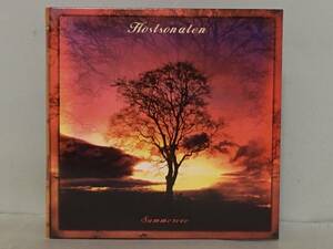 21st PROG / HOSTSONATEN / SUMMEREVE　　　2011年　　イタリア盤CD　　　シンフォ