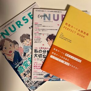 エキスパートナース 2022年4月号 (照林社)
