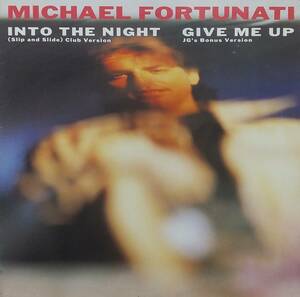 匿名・送料無料！　マイケル・フォーチュナティ/Michael Fortunati　１２inchシングル　「Into The Night/GIVE ME UP」