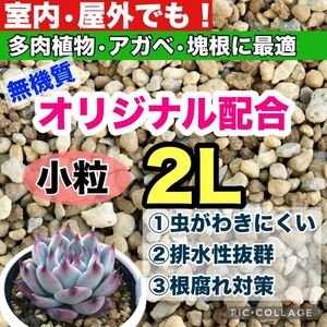 多肉植物　アガベ・塊根植物の土　2リットル