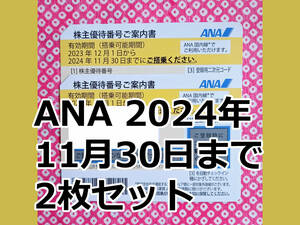 ANA 株主優待券 匿名 送料無料 2枚セット 2024年11月30日 / 全日空 黄色 コード通知可
