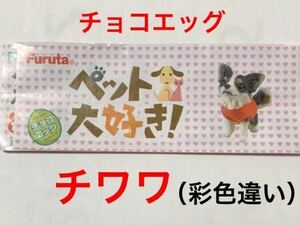 【定形外郵便発送】 チョコエッグ ペット大好き! 「 チワワ （彩色違い） 」 / フルタ製菓 