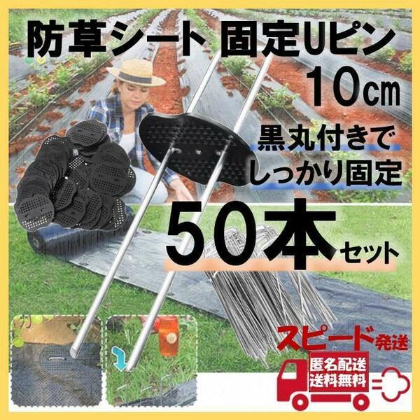 防草シート ピン Uピン杭 10cm 50本セット シート押え 黒丸付 固定ピン