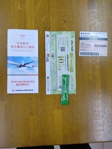 JAL 日本航空 株主優待 国内線 株主割引券 1枚 期限2025年11月30日まで!